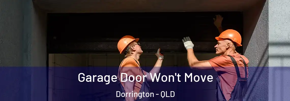 Garage Door Won't Move Dorrington - QLD