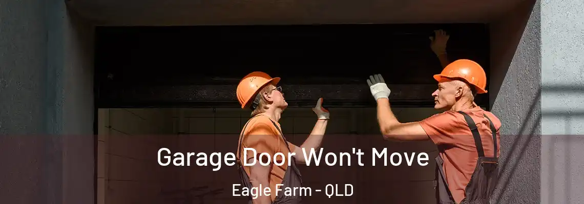  Garage Door Won't Move Eagle Farm - QLD