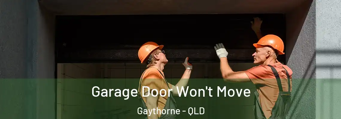  Garage Door Won't Move Gaythorne - QLD