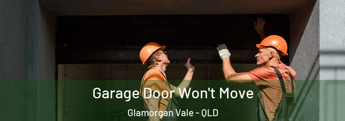  Garage Door Won't Move Glamorgan Vale - QLD