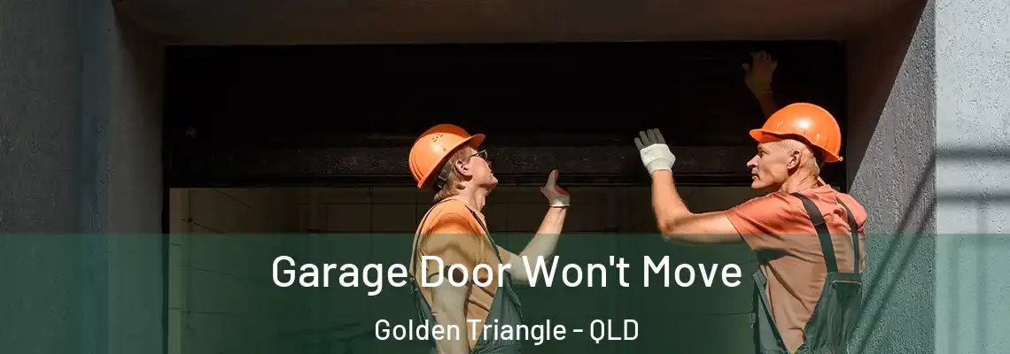 Garage Door Won't Move Golden Triangle - QLD