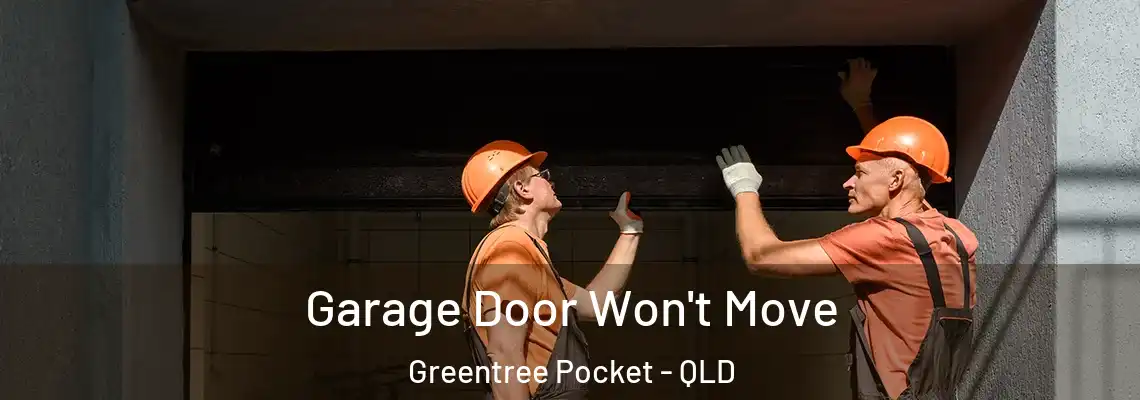 Garage Door Won't Move Greentree Pocket - QLD