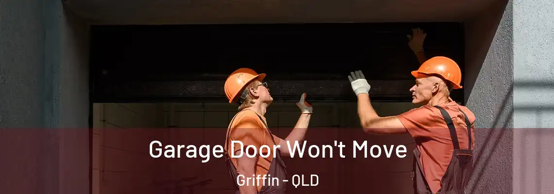  Garage Door Won't Move Griffin - QLD