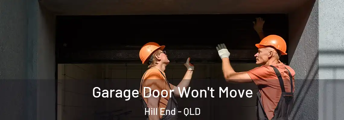  Garage Door Won't Move Hill End - QLD