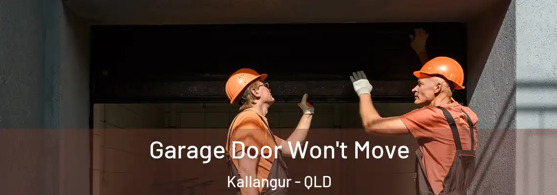 Garage Door Won't Move Kallangur - QLD