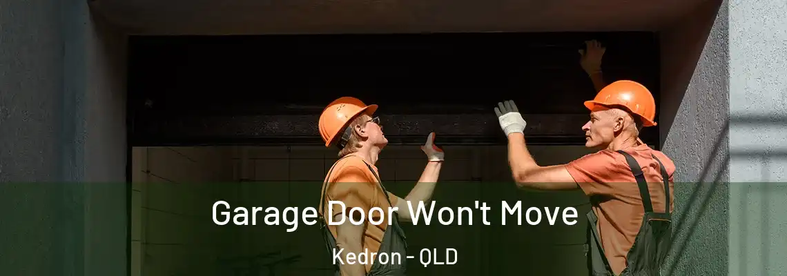  Garage Door Won't Move Kedron - QLD