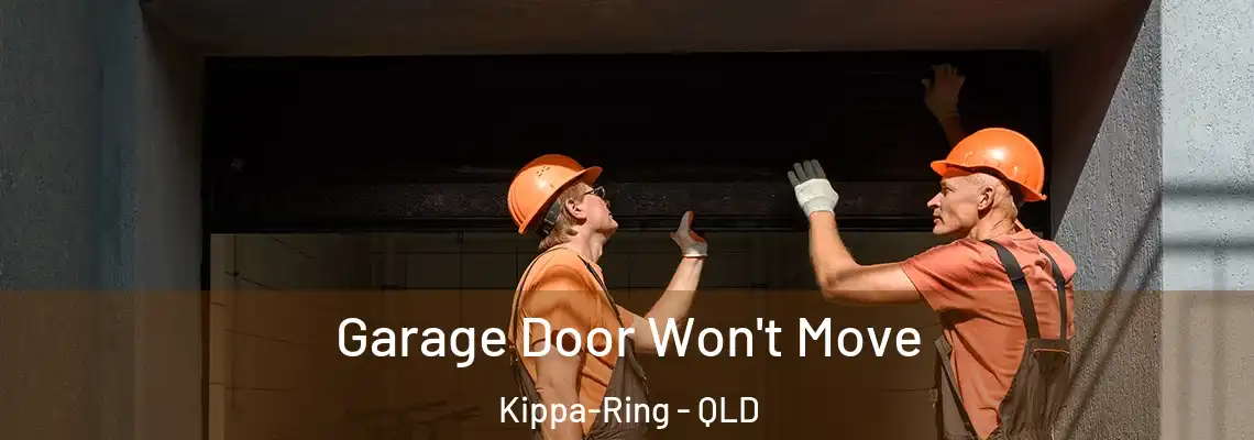  Garage Door Won't Move Kippa-Ring - QLD
