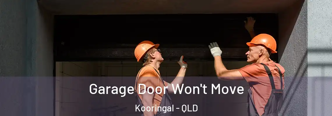  Garage Door Won't Move Kooringal - QLD