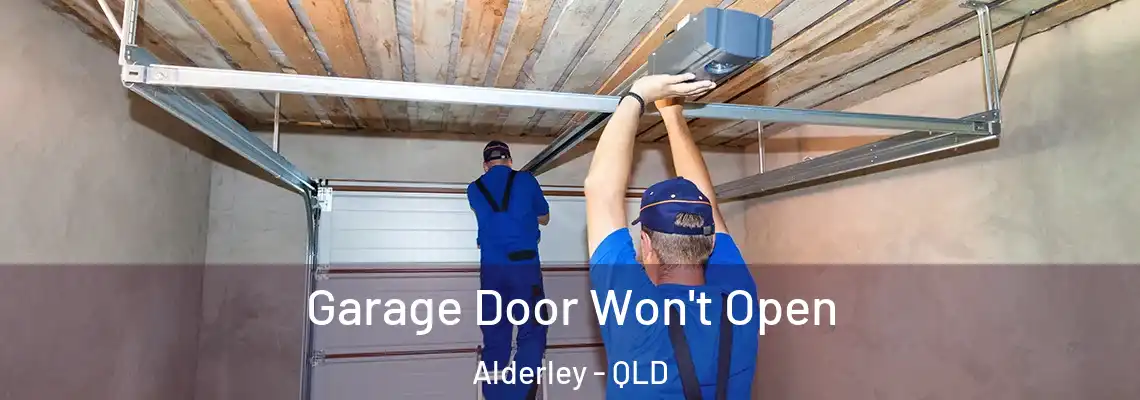  Garage Door Won't Open Alderley - QLD