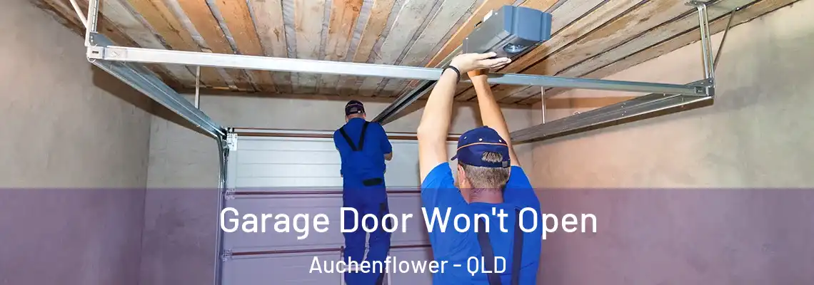  Garage Door Won't Open Auchenflower - QLD
