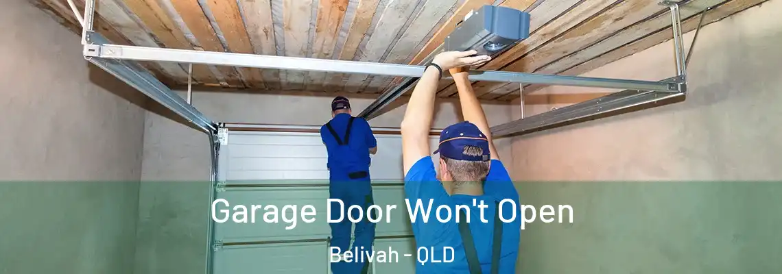 Garage Door Won't Open Belivah - QLD