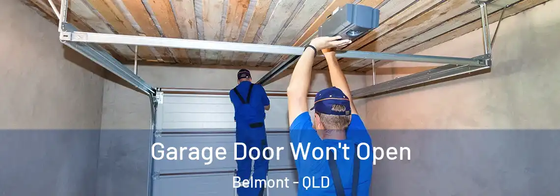 Garage Door Won't Open Belmont - QLD