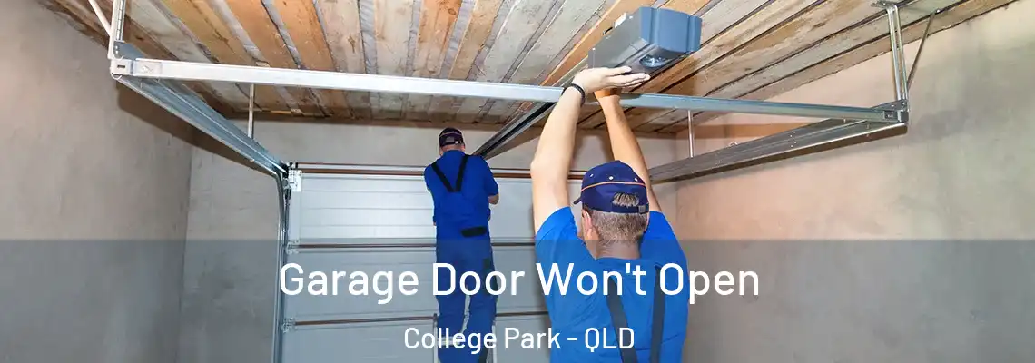  Garage Door Won't Open College Park - QLD