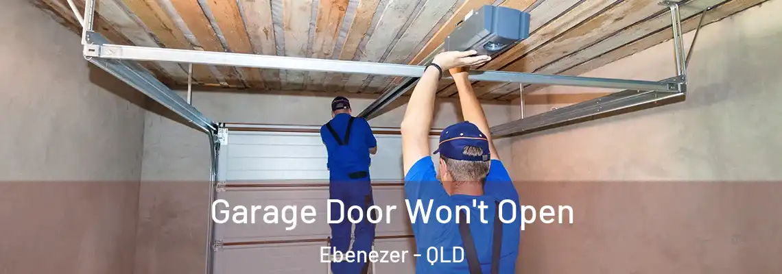  Garage Door Won't Open Ebenezer - QLD