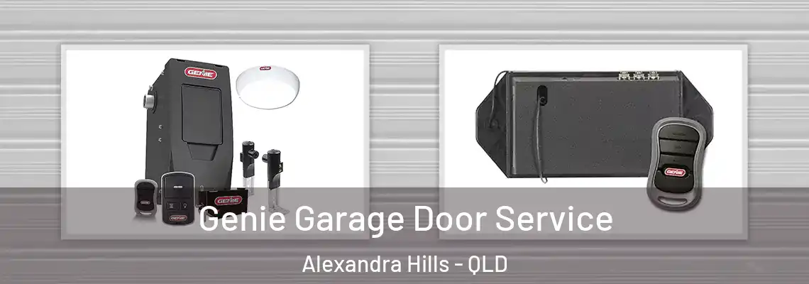  Genie Garage Door Service Alexandra Hills - QLD