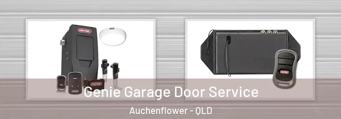  Genie Garage Door Service Auchenflower - QLD