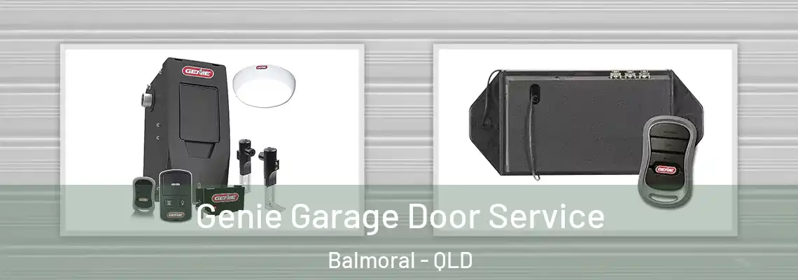 Genie Garage Door Service Balmoral - QLD