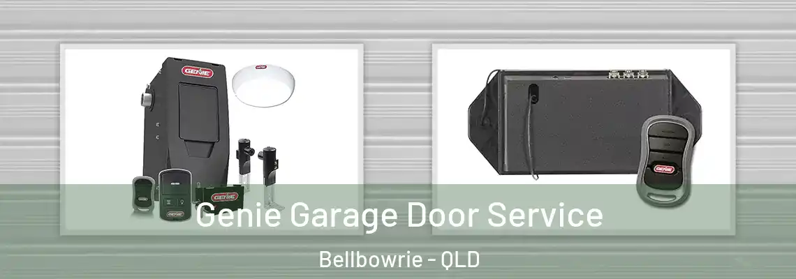  Genie Garage Door Service Bellbowrie - QLD