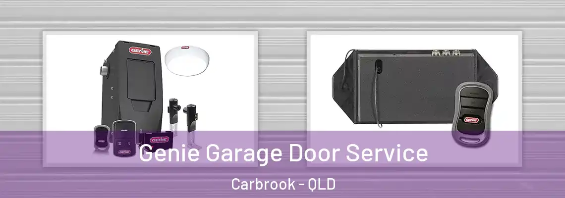  Genie Garage Door Service Carbrook - QLD