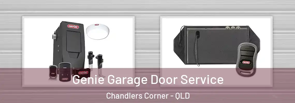  Genie Garage Door Service Chandlers Corner - QLD