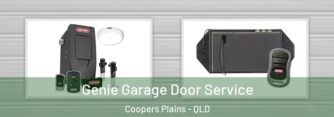 Genie Garage Door Service Coopers Plains - QLD