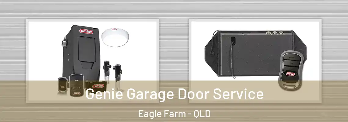 Genie Garage Door Service Eagle Farm - QLD