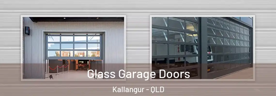 Glass Garage Doors Kallangur - QLD