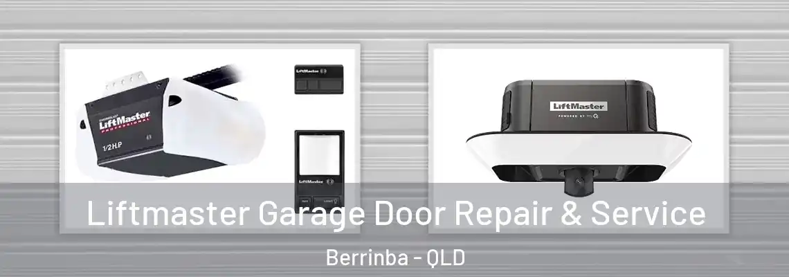 Liftmaster Garage Door Repair & Service Berrinba - QLD