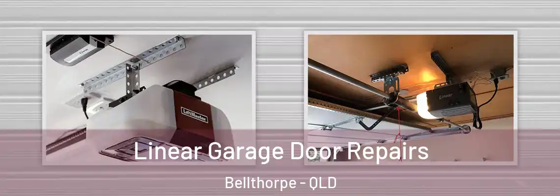  Linear Garage Door Repairs Bellthorpe - QLD