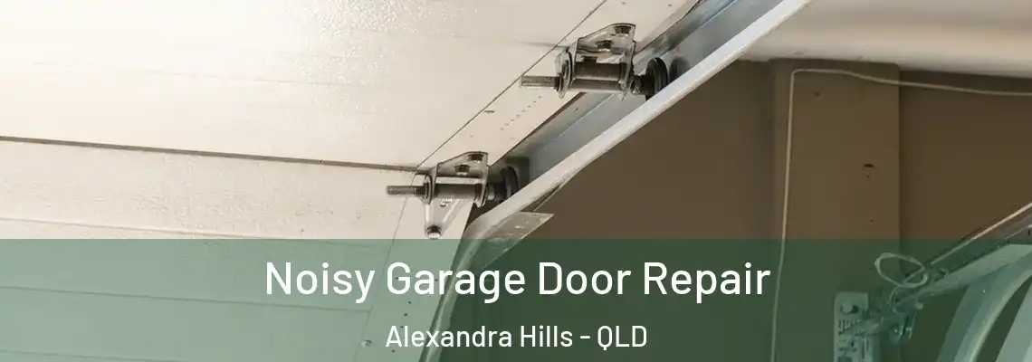  Noisy Garage Door Repair Alexandra Hills - QLD