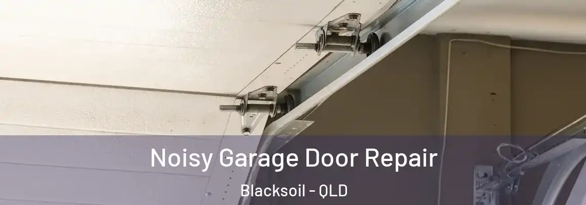 Noisy Garage Door Repair Blacksoil - QLD