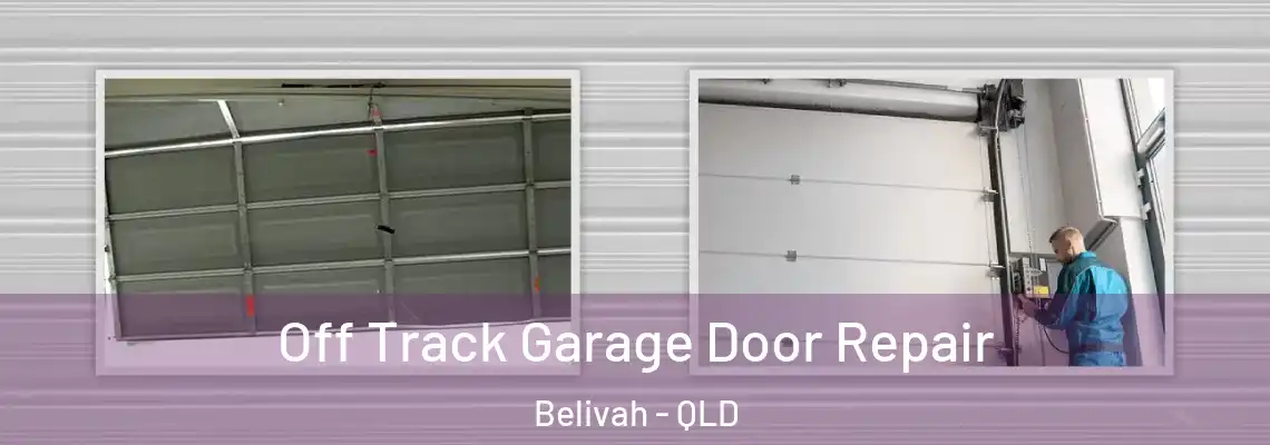  Off Track Garage Door Repair Belivah - QLD
