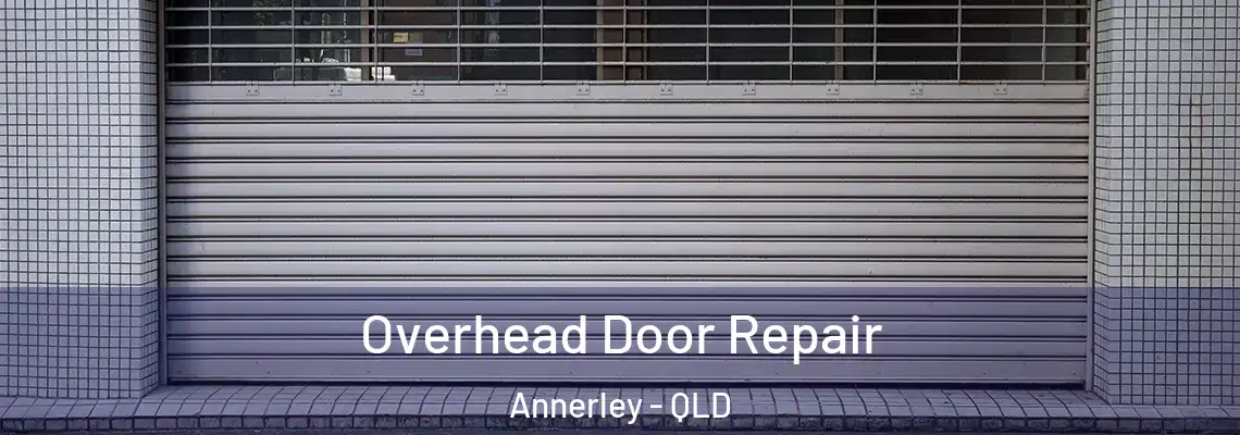 Overhead Door Repair Annerley - QLD