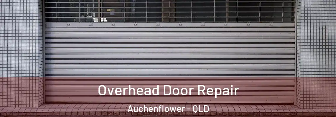 Overhead Door Repair Auchenflower - QLD