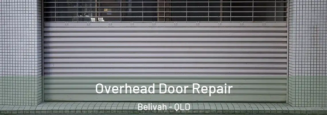  Overhead Door Repair Belivah - QLD