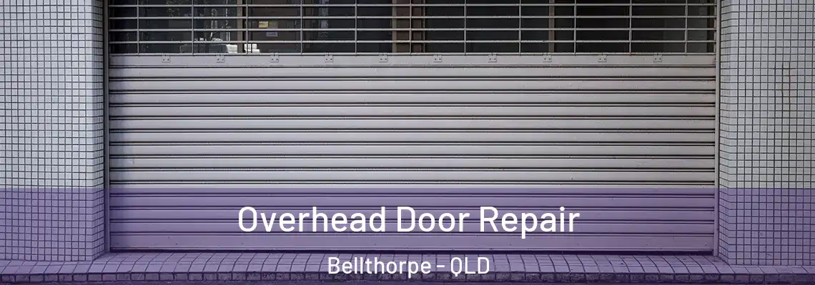  Overhead Door Repair Bellthorpe - QLD