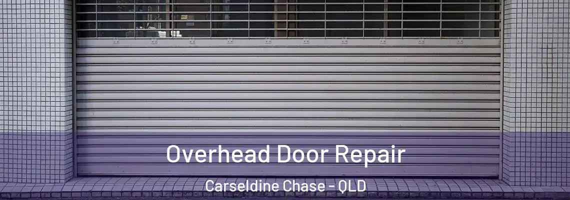  Overhead Door Repair Carseldine Chase - QLD