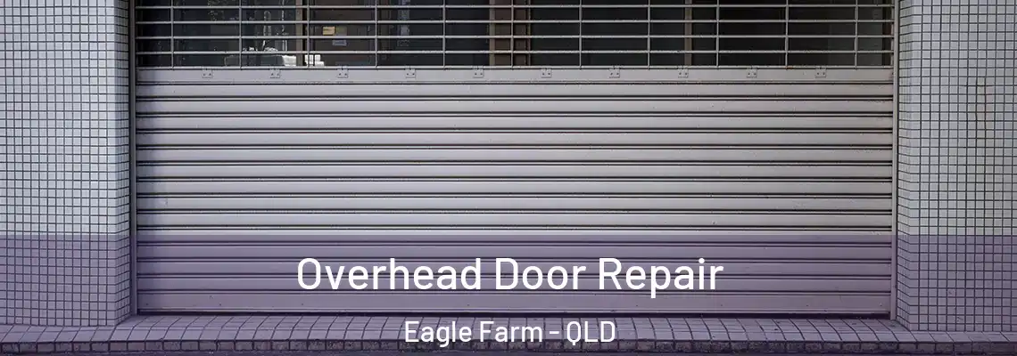 Overhead Door Repair Eagle Farm - QLD