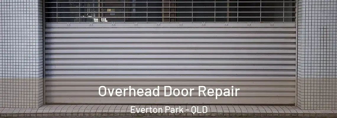 Overhead Door Repair Everton Park - QLD