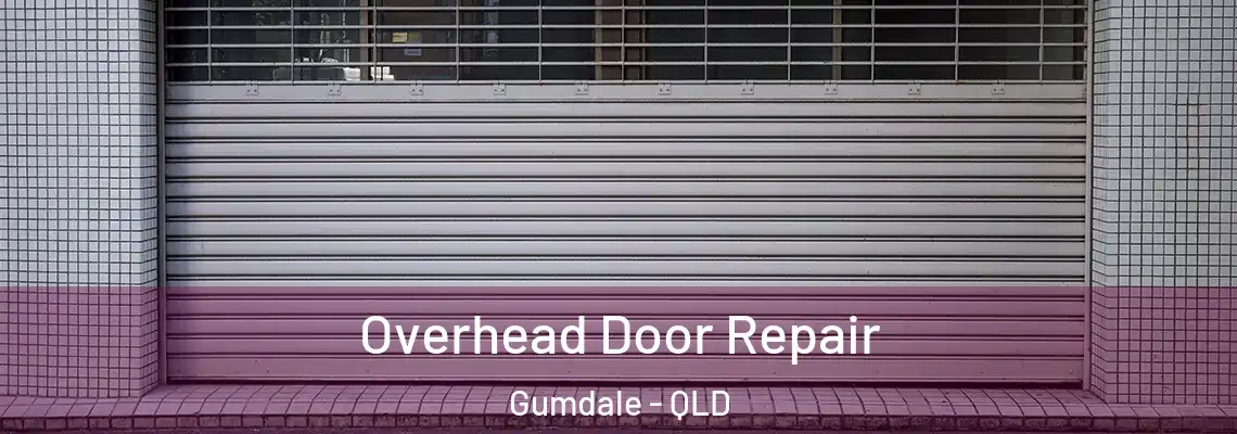 Overhead Door Repair Gumdale - QLD