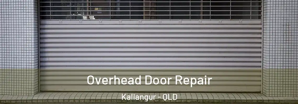 Overhead Door Repair Kallangur - QLD
