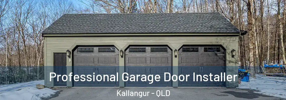  Professional Garage Door Installer Kallangur - QLD