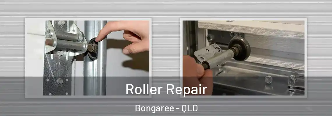 Roller Repair Bongaree - QLD