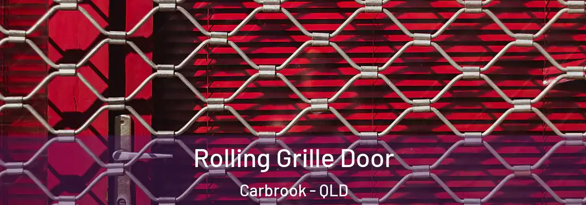  Rolling Grille Door Carbrook - QLD