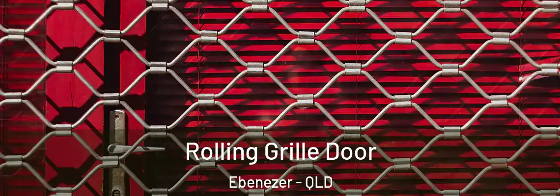 Rolling Grille Door Ebenezer - QLD