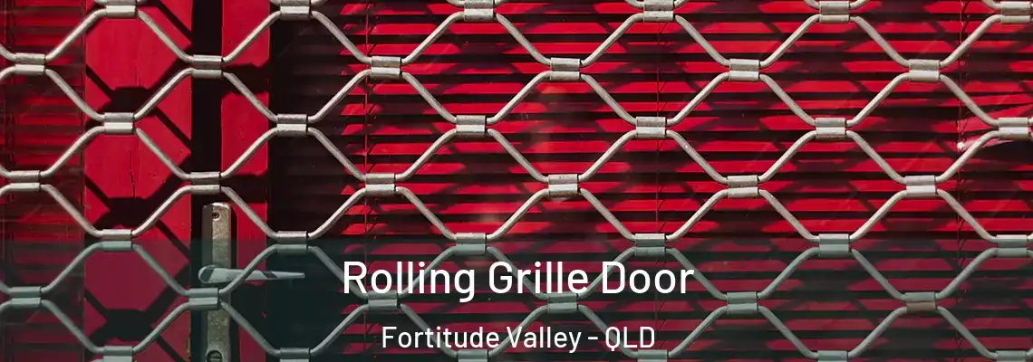 Rolling Grille Door Fortitude Valley - QLD