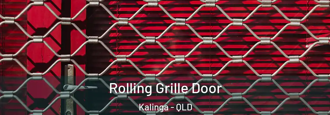 Rolling Grille Door Kalinga - QLD
