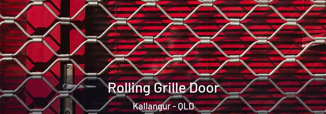 Rolling Grille Door Kallangur - QLD