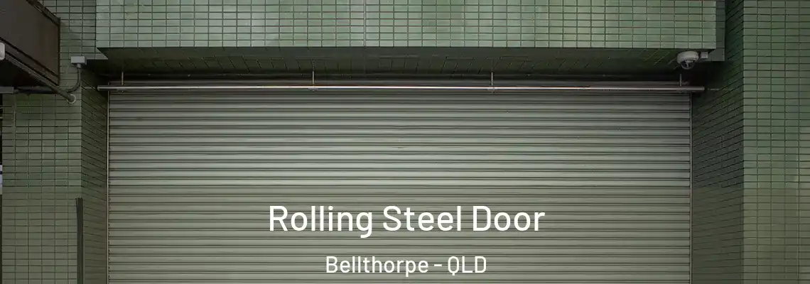  Rolling Steel Door Bellthorpe - QLD