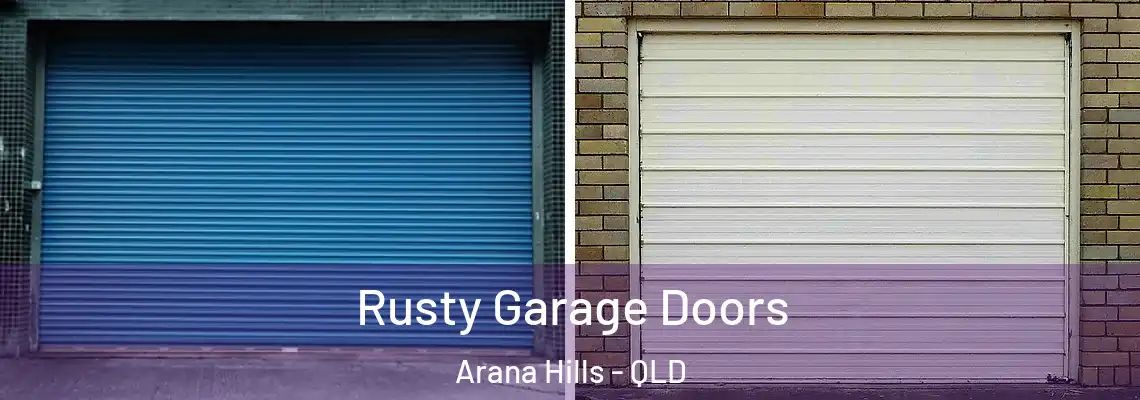  Rusty Garage Doors Arana Hills - QLD